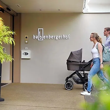 Hotel Babenbergerhof 2*