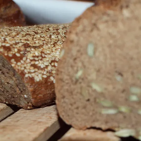 Babenbergerhof 2* Modling