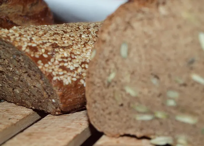 Babenbergerhof 2* Modling